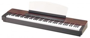 Yamaha P-120